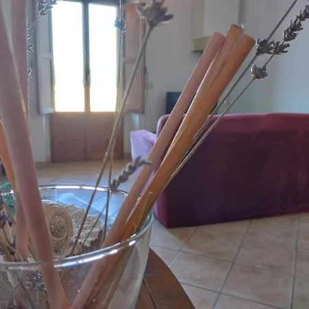 Le Terre D'abruzzo * Alanno