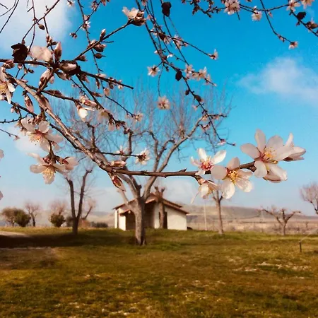 Country house Le Terre D'abruzzo *