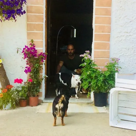 Le Terre D'abruzzo Country house Alanno