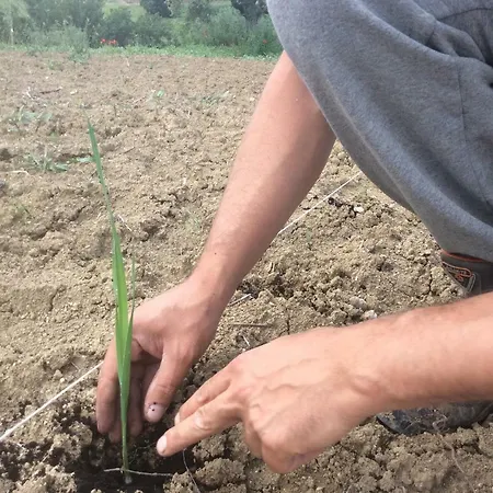 Le Terre D'abruzzo Casa di campagna Alanno