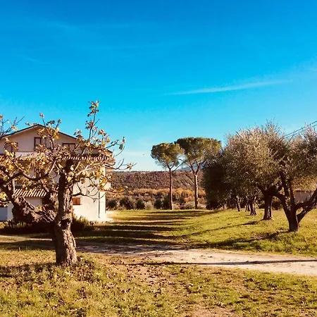 Le Terre D'abruzzo