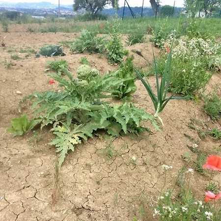 Casa di campagna Le Terre D'abruzzo *