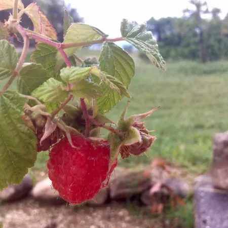 Casa di campagna Le Terre D'abruzzo *