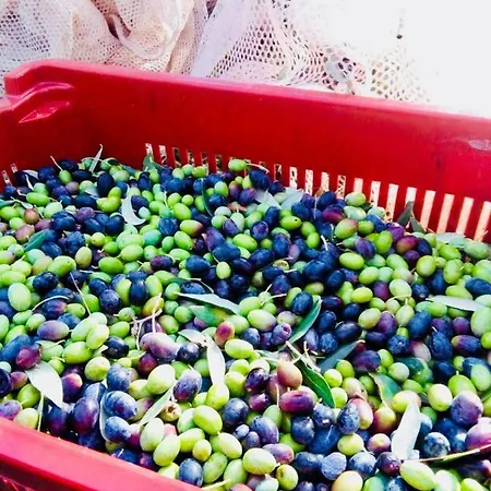 Le Terre D'abruzzo Country house *