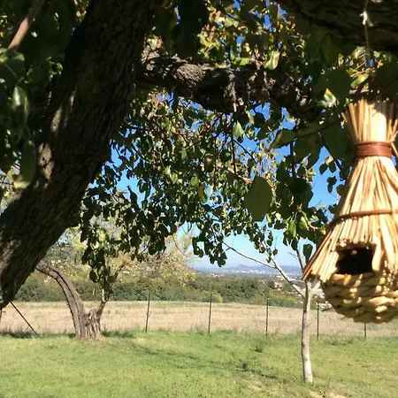 Le Terre D'abruzzo Casa di campagna *