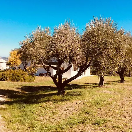 Le Terre D'abruzzo Country house