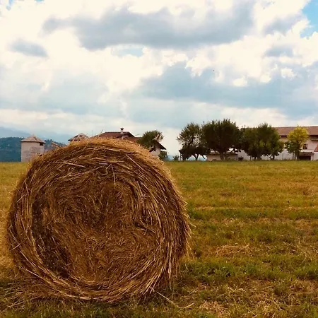 Le Terre D'abruzzo Casa di campagna *